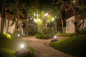 garden with amazing lighting